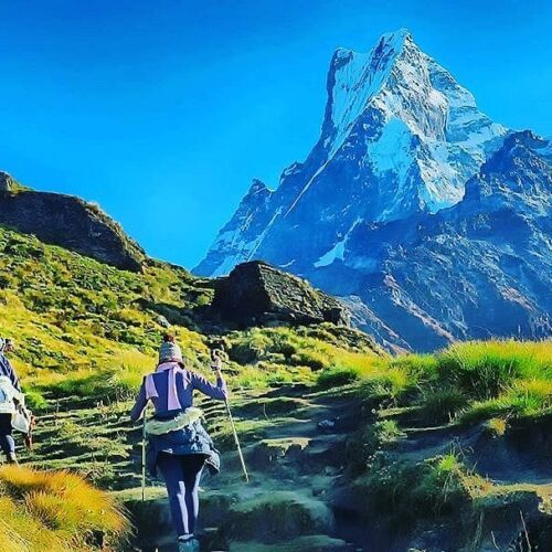 Mardi Himal Trek